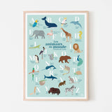 Bilingual Spanish alphabet of animals children's poster