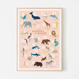 Bilingual Spanish alphabet of animals children's poster