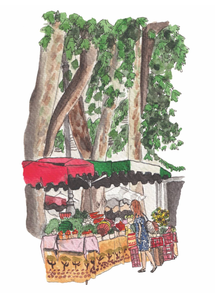 Aix-en-Provence farmer's market watercolor print