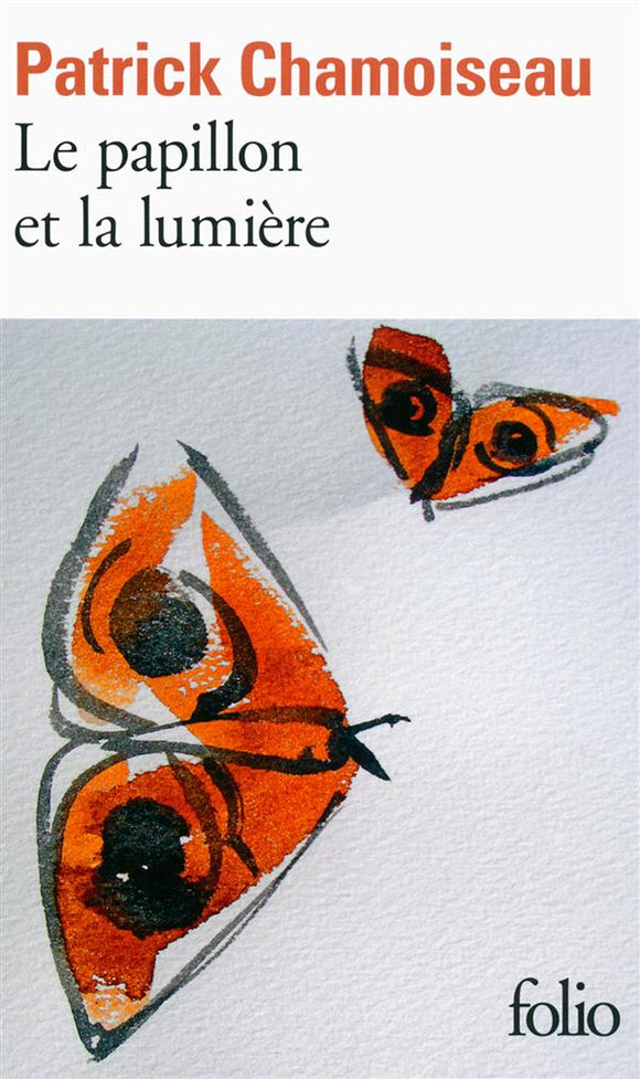 LE PAPILLON ET LA LUMIERE