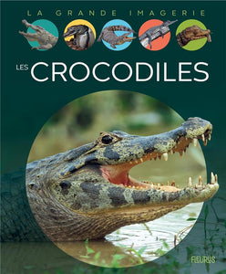 LES CROCODILES