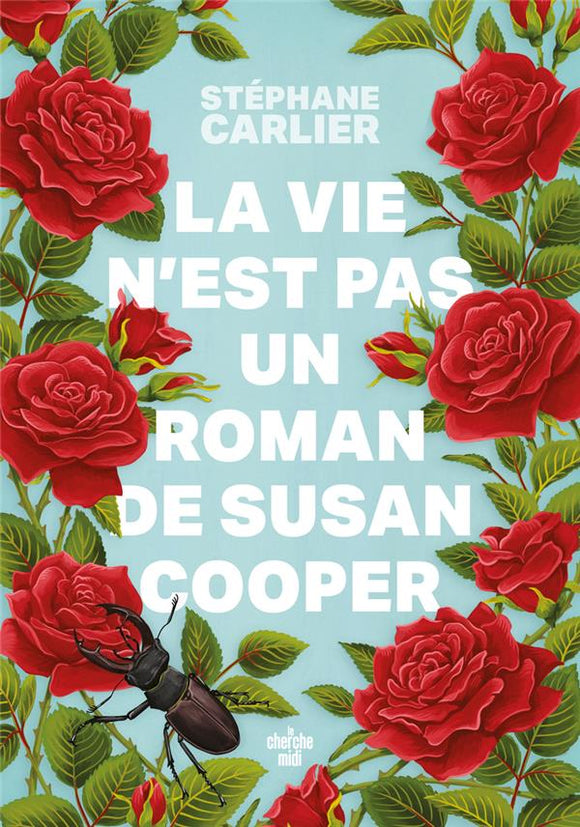 LA VIE N'EST PAS UN ROMAN DE SUSAN COOPER