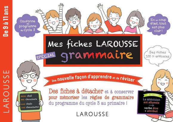 MES FICHES LAROUSSE SPECIAL GRAMMAIRE - DE 7 A 11 ANS