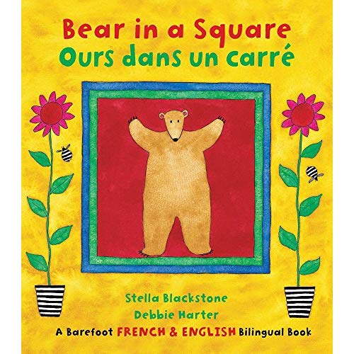 BEAR IN A SQUARE/OURS DANS UN CARRE