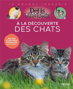 A LA DECOUVERTE DES CHATS