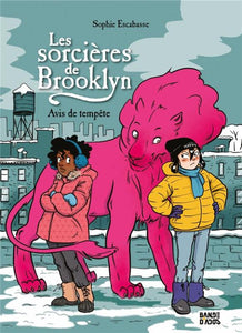 LES SORCIERES DE BROOKLYN TOME 02 - AVIS DE TEMPETE