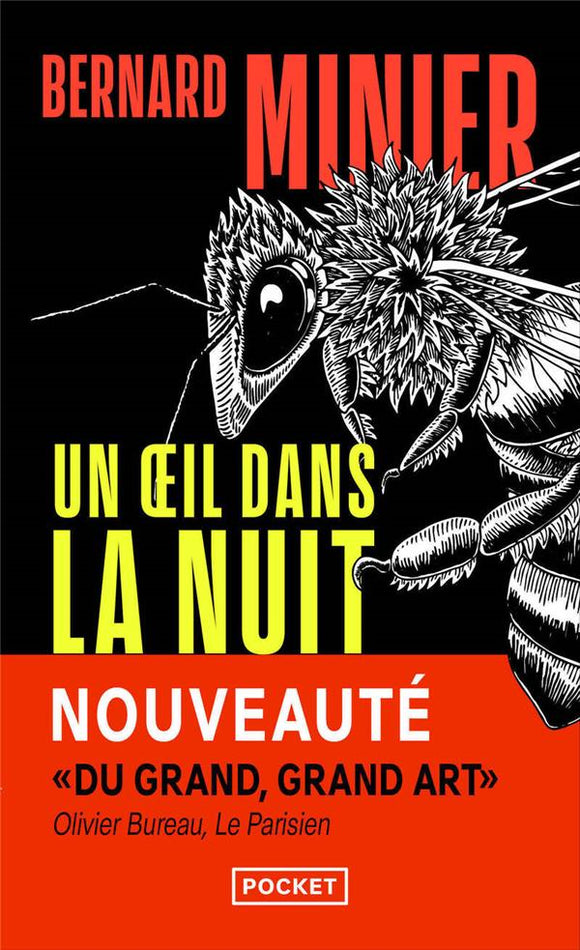 UN OEIL DANS LA NUIT