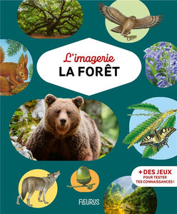 L'IMAGERIE - LA FORET