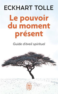 LE POUVOIR DU MOMENT PRESENT - GUIDE D'EVEIL SPIRITUEL